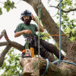 Operario con casco azul, camiseta verde, pantalón negro colgando de un gran árbol.