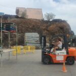 Operaria de Carretillas haciendo traslado de pallets.