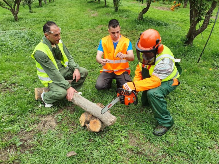 3 Operarios en un prado verde con cascos y una sierra cortando un trozo de árbol aprendiendo a usar una sierra.